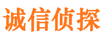 双柏外遇出轨调查取证